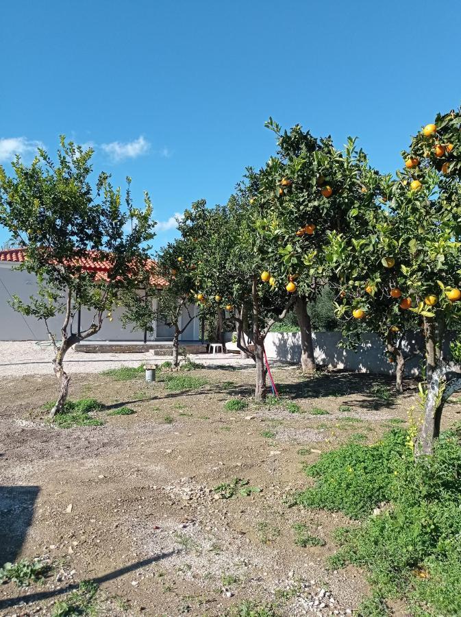 Avocado House Villa Finikounta Buitenkant foto