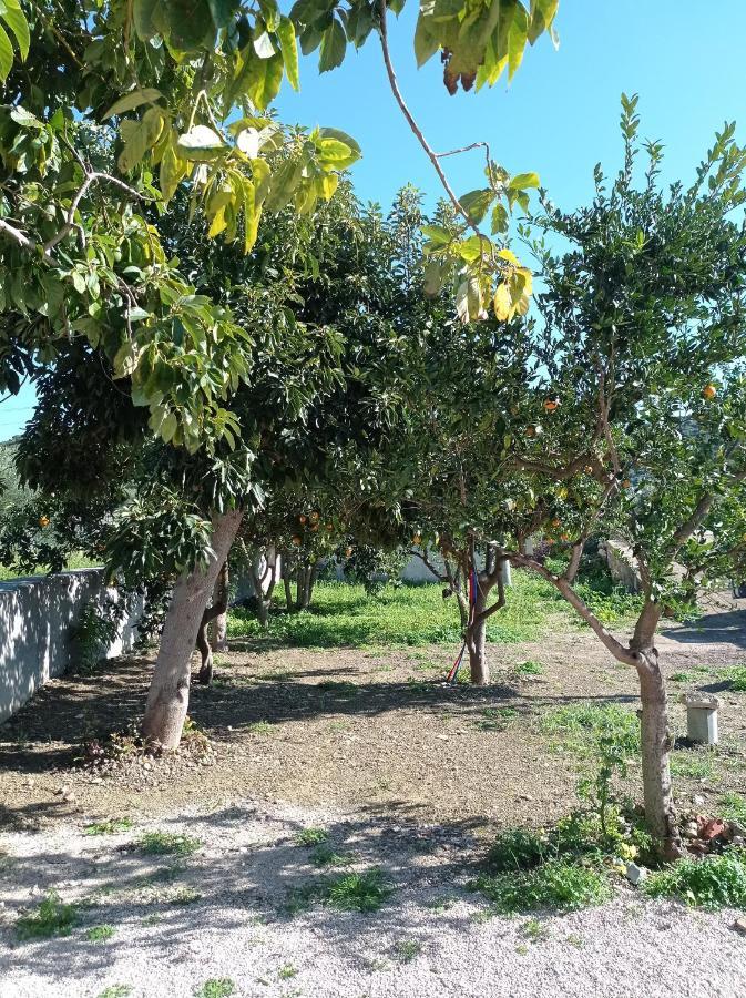 Avocado House Villa Finikounta Buitenkant foto