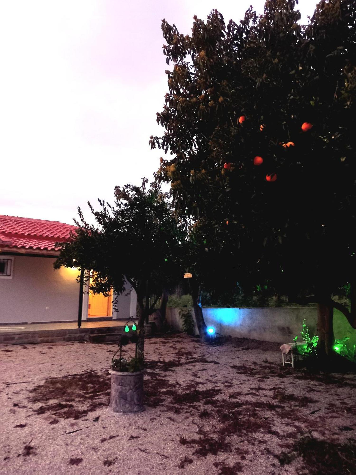 Avocado House Villa Finikounta Buitenkant foto